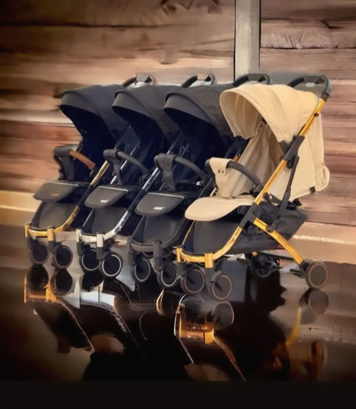 کالسکه مایلر الگانت -سیسمونی مانینی شاپ