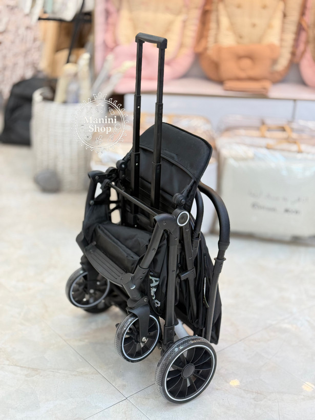 کالسکه مسافرتی والتر